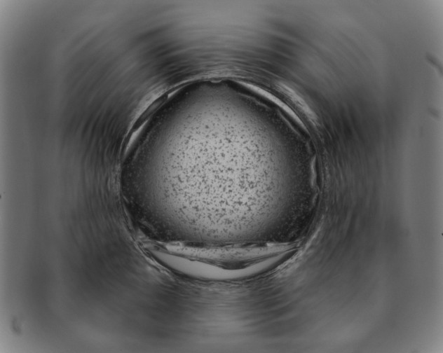 X0000091001097200708241443