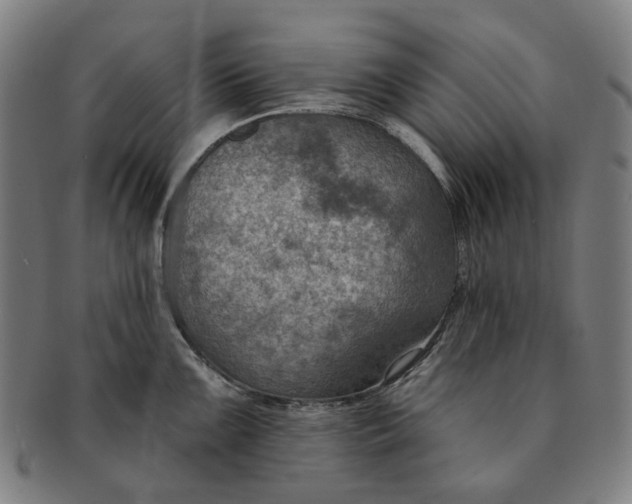 X0000091001099200708241443