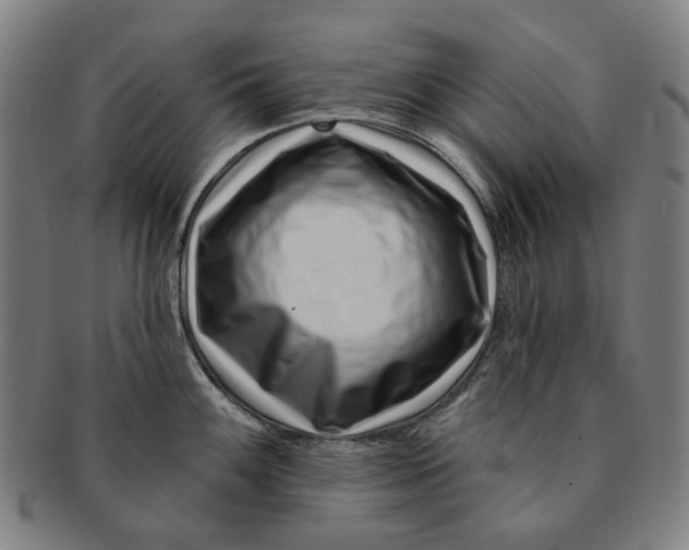 X0000091001100200708241443