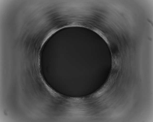 X0000091001101200708241443