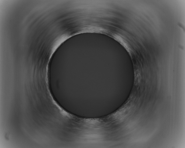 X0000091001103200708241443