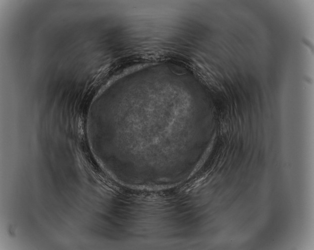 X0000091001106200708241442