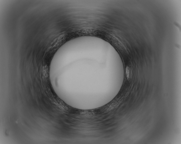 X0000091001107200708241442