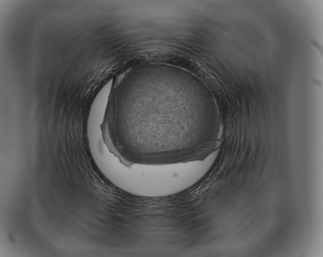 X0000091001108200708241442