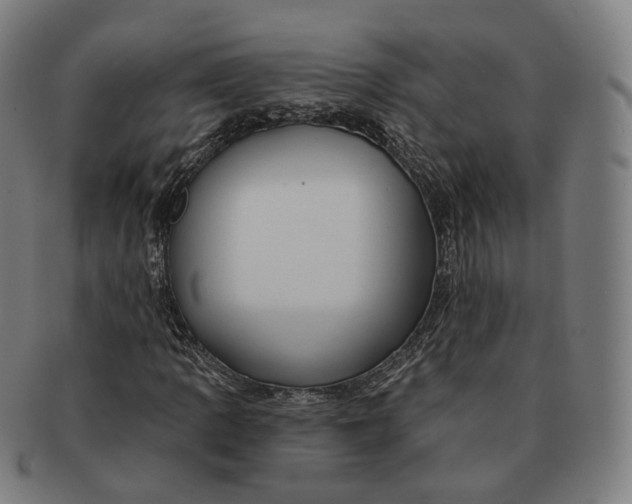 X0000091001109200708241443