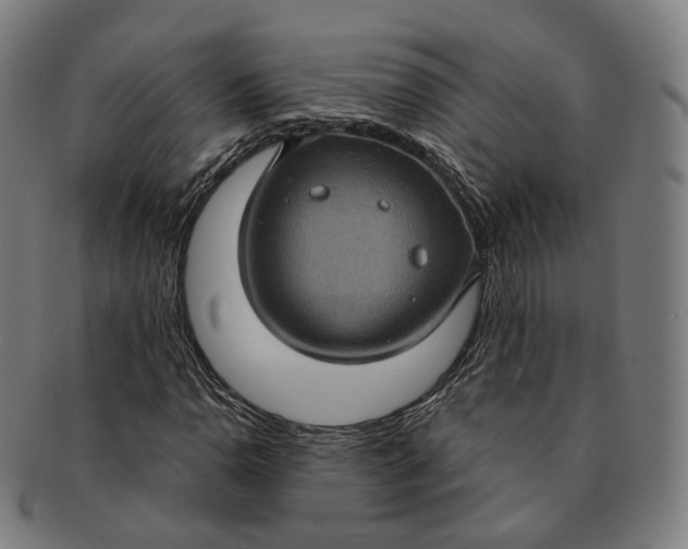 X0000091001110200708241443