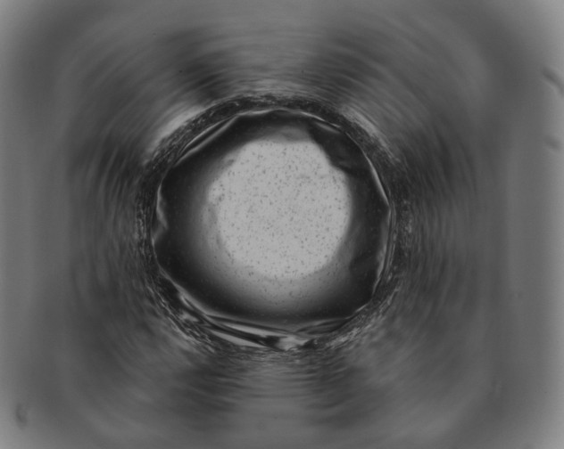 X0000091001112200708241443