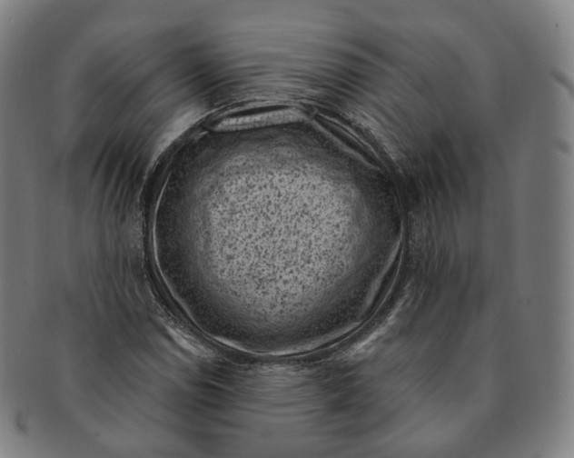 X0000091001114200708241443