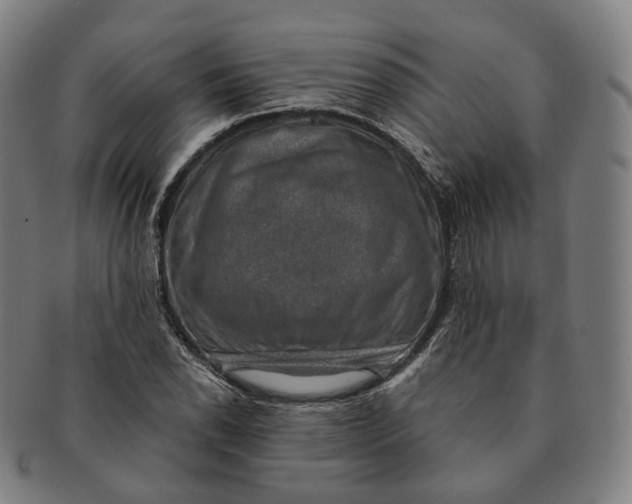 X0000091001118200708241443