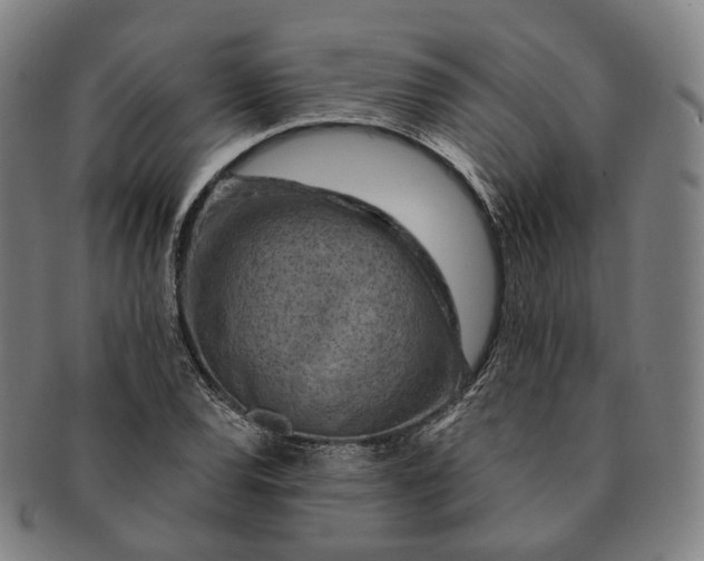 X0000091001120200708241443
