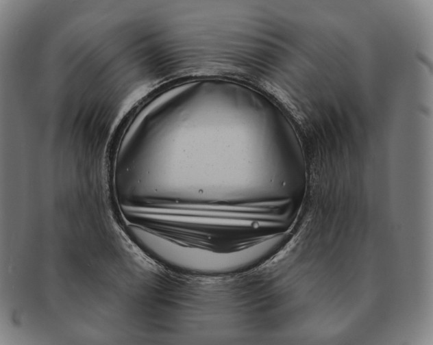 X0000091001122200708241443