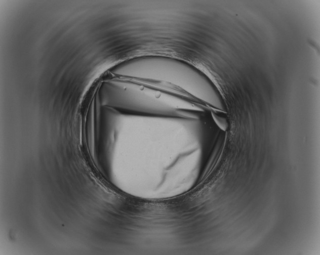 X0000091001123200708241443