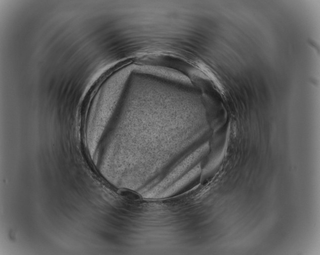 X0000091001124200708241443