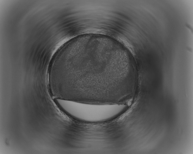 X0000091001125200708241443