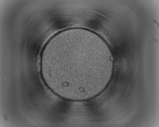 X0000091001126200708241443