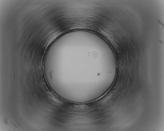 X0000091001129200708241443