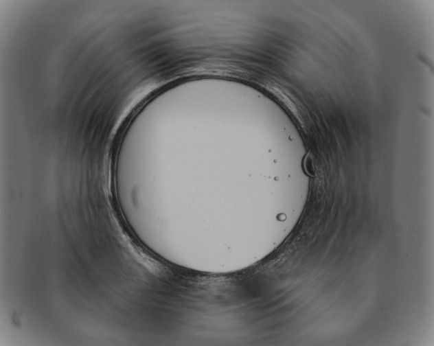 X0000091001131200708241443