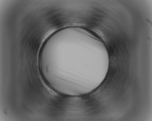 X0000091001135200708241443