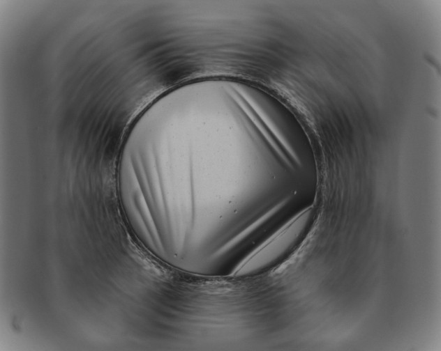 X0000091001137200708241443