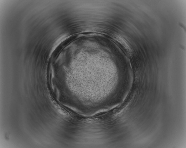 X0000091001138200708241443