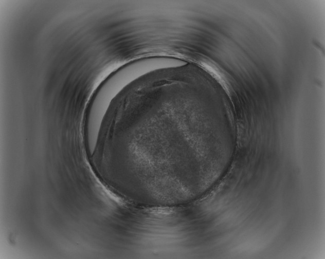 X0000091001141200708241443