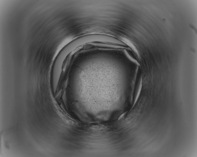 X0000091001146200708241443