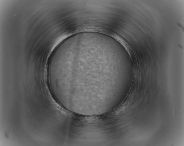 X0000091001147200708241443