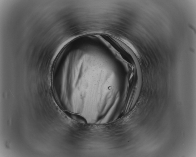 X0000091001148200708241443