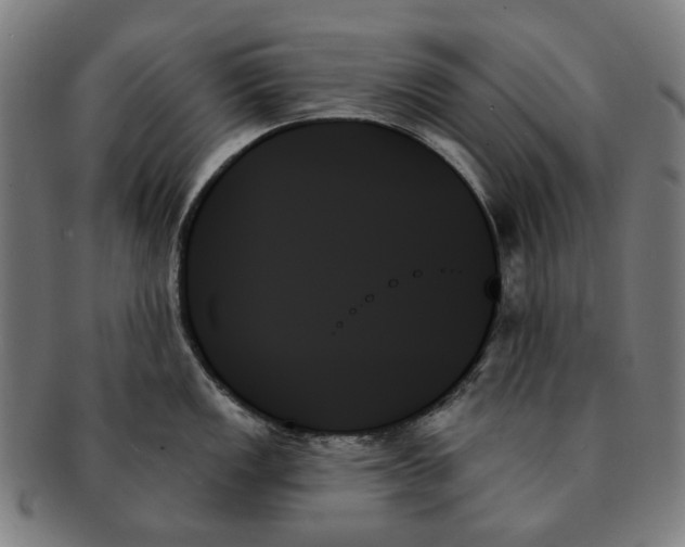 X0000091001149200708241443