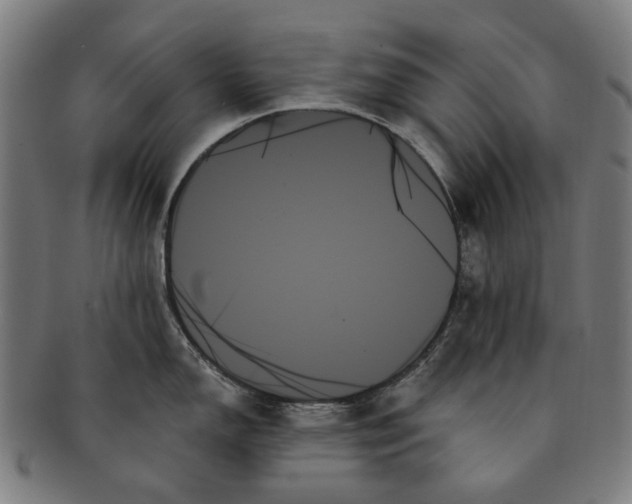 X0000091001150200708241443