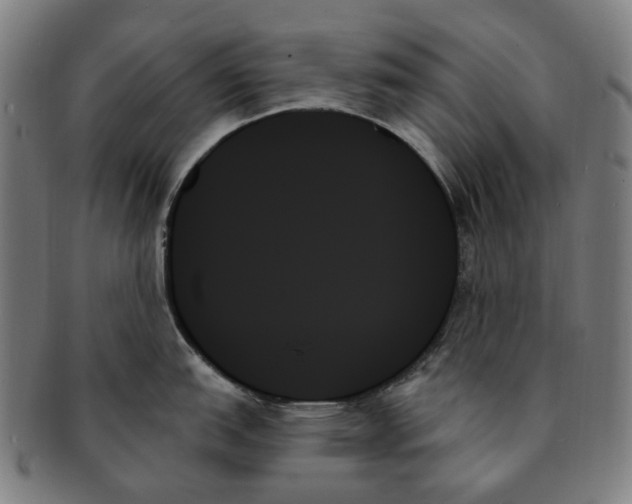 X0000091001151200708241443