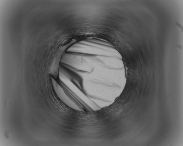 X0000091001153200708241442