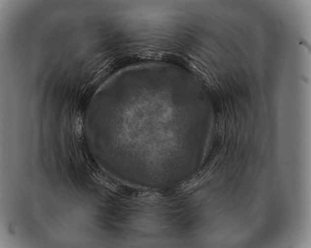 X0000091001154200708241442