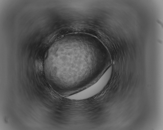 X0000091001155200708241442