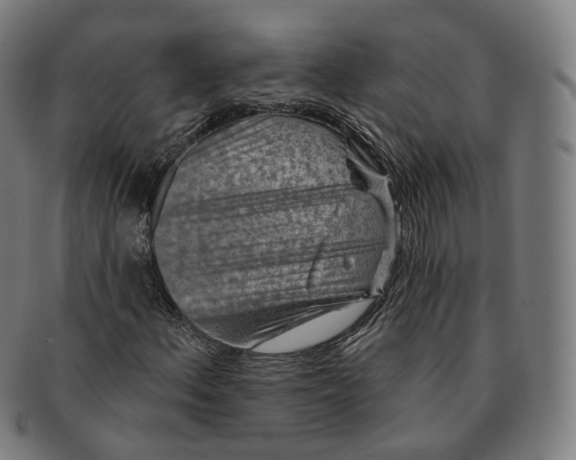 X0000091001156200708241442