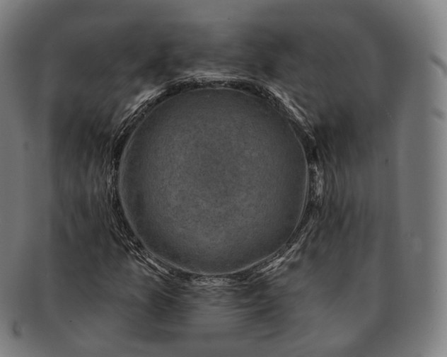 X0000091001157200708241442