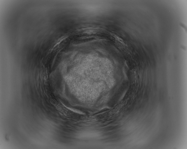 X0000091001158200708241442