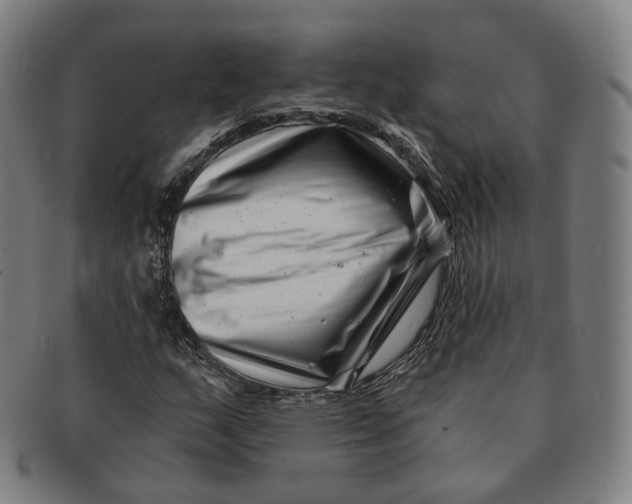 X0000091001159200708241442