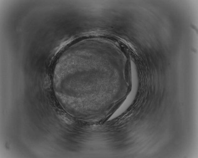 X0000091001160200708241442