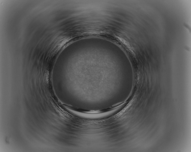 X0000091001161200708241442