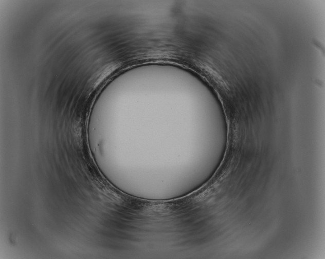 X0000091001162200708241442