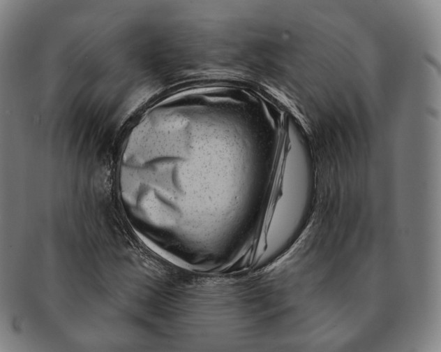 X0000091001163200708241442