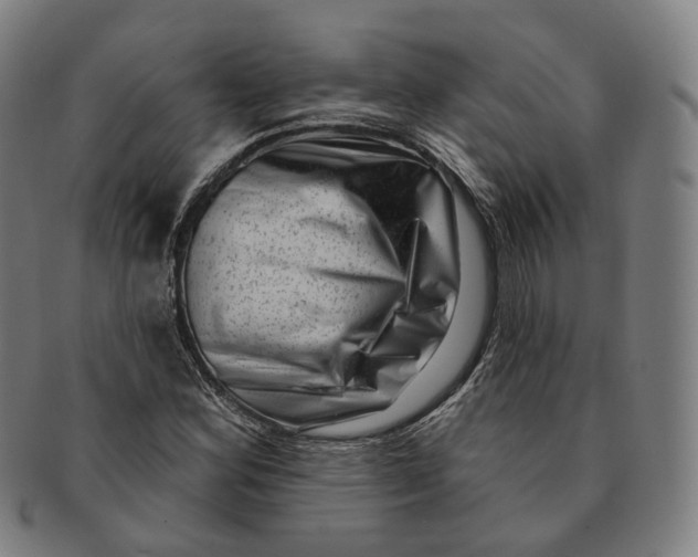 X0000091001164200708241442