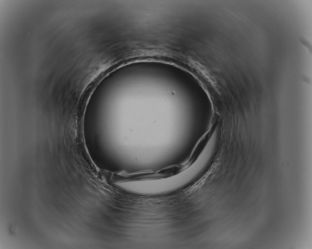 X0000091001165200708241442