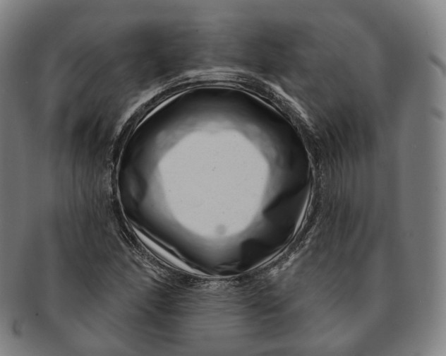X0000091001166200708241442