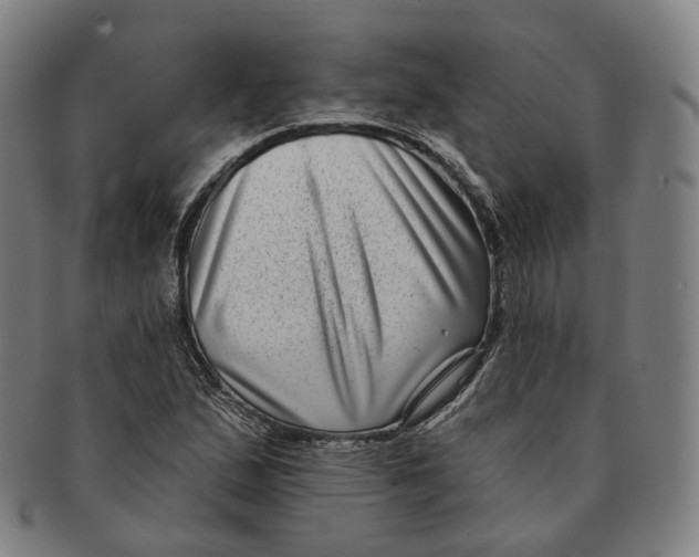X0000091001167200708241442