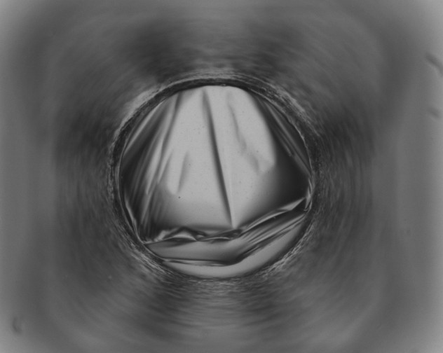 X0000091001168200708241442
