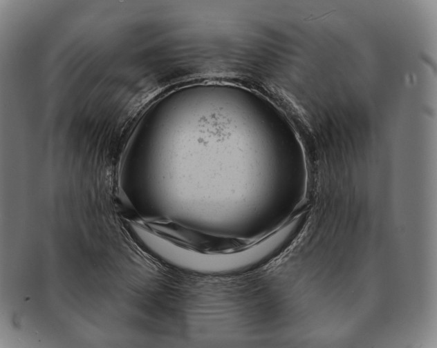 X0000091001169200708241442