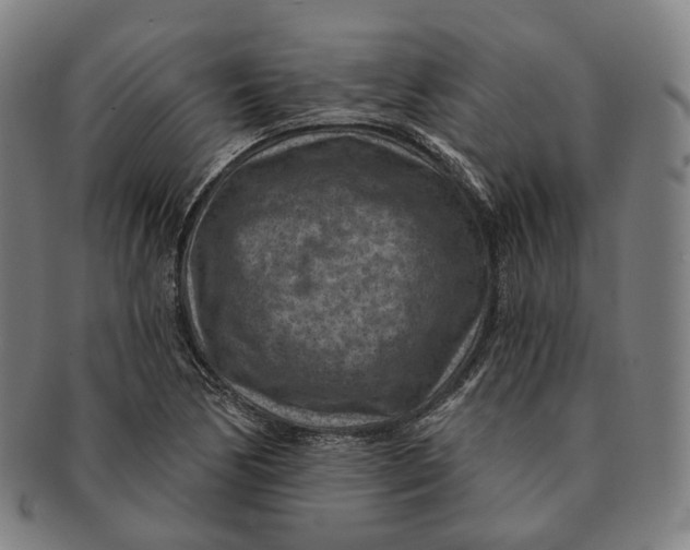 X0000091001170200708241442