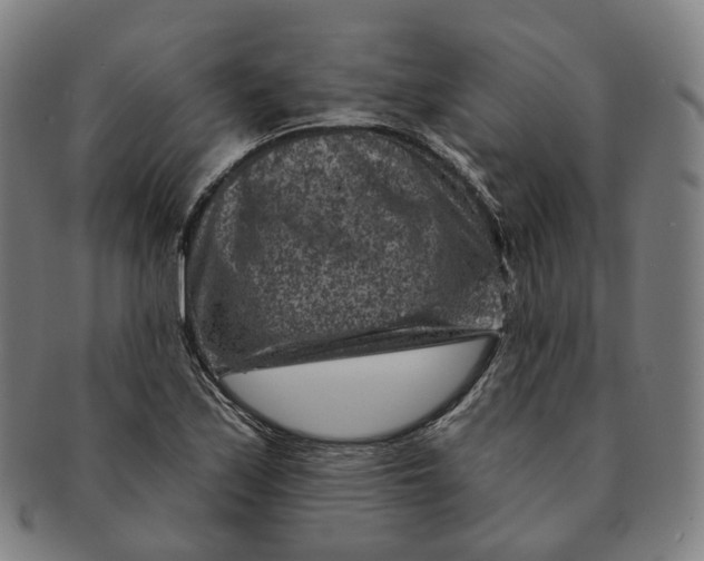 X0000091001171200708241442
